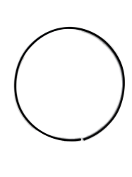 5488_ (1)