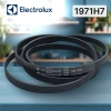 Ремень сушильной машины Electrolux 1971Н7 